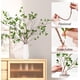 thumbnail image 3 of 3 piezas 34 '' Ramas verdes de eucalipto artificial Ramas de Ficus artificiales Aerosol de hojas Ramas de eucalipto de imitación Banyan Ficus Twig Plants para boda en casa, 3 of 5