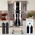 thumbnail image 3 of Berkey - Phoenix Gravity New Millennium Edition Water Filter Elements (Set of 6) - NMCL Endorsed Replacement in Lieu of Black Berkey Elements BB9-2, 3 of 9