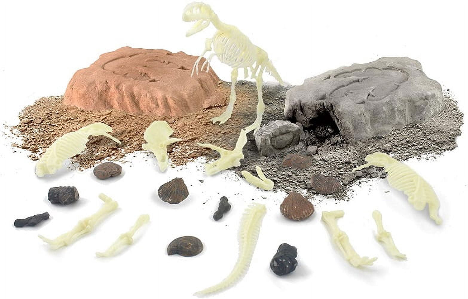 Epic Lab Dig Dinosaur Fossils Activity Kit, 2 Skeletons, Paint & Tools Included