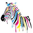 thumbnail image 1 of Zebra - DIY Diamond Painting, 1 of 6