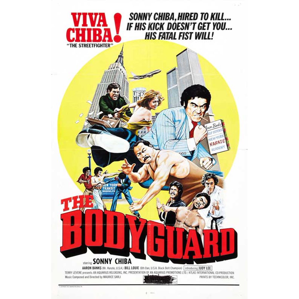 Bodyguard movie essay image