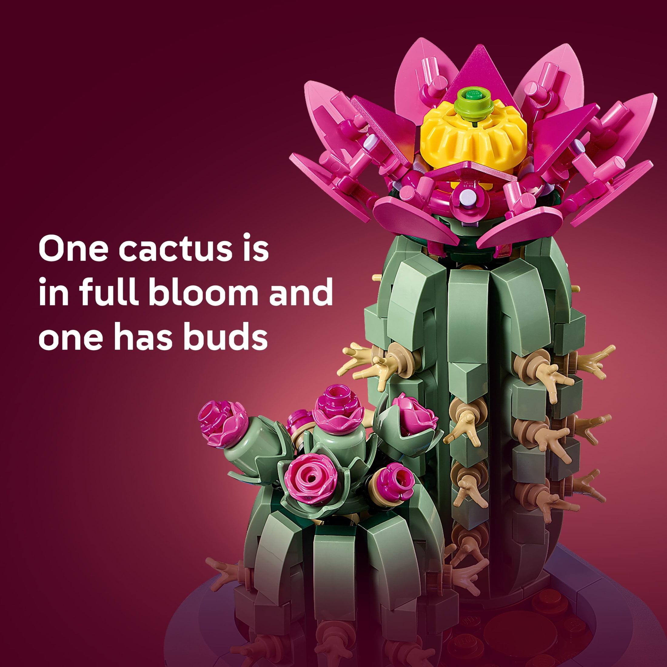 LEGO Botanicals Flowering Cactus Building Toy - Crafting Kit for Girls & Boys, Ages 9+ - Gift for Kids & Adults - Room Decor for Bedroom or Book Shelf - 11509