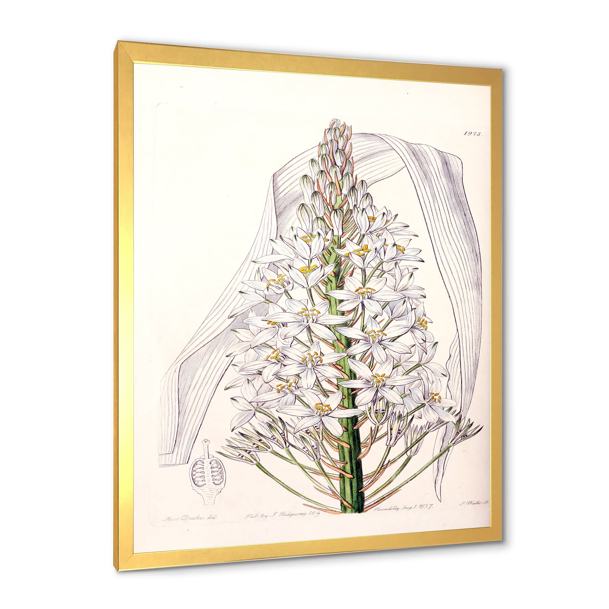 Designart 'White Vintage Orchid I' Traditional Framed Art Print