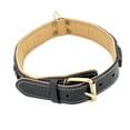thumbnail image 5 of Soft Padded Genuine Leather Dog Collar for Medium and Large Breeds sz L: Neck 16" - 19", 5 of 5