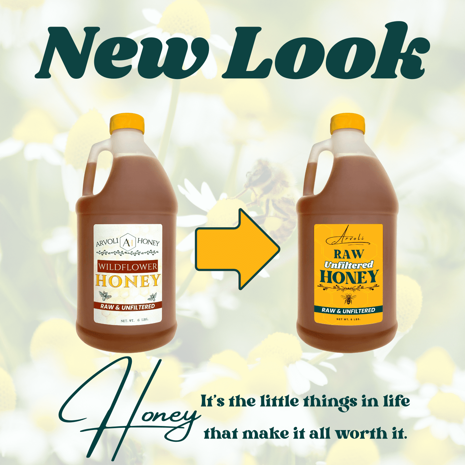 Raw & Unfiltered Wildflower Honey - 6 lbs - Half Gallon of Bulk Honey Jug by Arvoli Honey