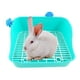 thumbnail image 5 of Caja de arena para conejos, inodoro, caja de plástico para jaulas, orinal para entrenador, arena de esquina, caja para , bandeja para mascotas - Verde, 5 of 8