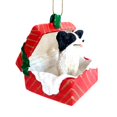 thumbnail image 3 of PAPILLON Dog Black sits in a Red Gift Box Christmas Ornament New RGBD47B, 3 of 4