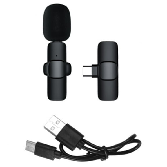 2Pcs Microphone,Wireless Microphones
