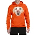 thumbnail image 2 of Wild Bobby, Golden Retriever Cute Gift, Dog Lover, Unisex Graphic Hoodie Sweatshirt, Orange, 3X-Large, 2 of 4