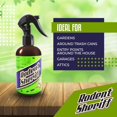 thumbnail image 3 of Aerosol para control de plagas, aceite de menta para roedores, 240 ml, 2 unidades, 3 of 7