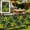 Artificial Hedge Fence Under $5 a5, variant on CQCYD Artificial Hedge Fence, 24x16 Inch Expandable Faux Leaf Privacy Panel, UV-Resistant Dense Greenery Screen, Lightweight Artificial Hedge Fence for Balcony Wall and Outdoor Decoration