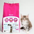 thumbnail image 3 of okocat Super Soft Clumping Natural Wood Cat Litter for Delicate Paws, 8.0lbs, 3 of 11