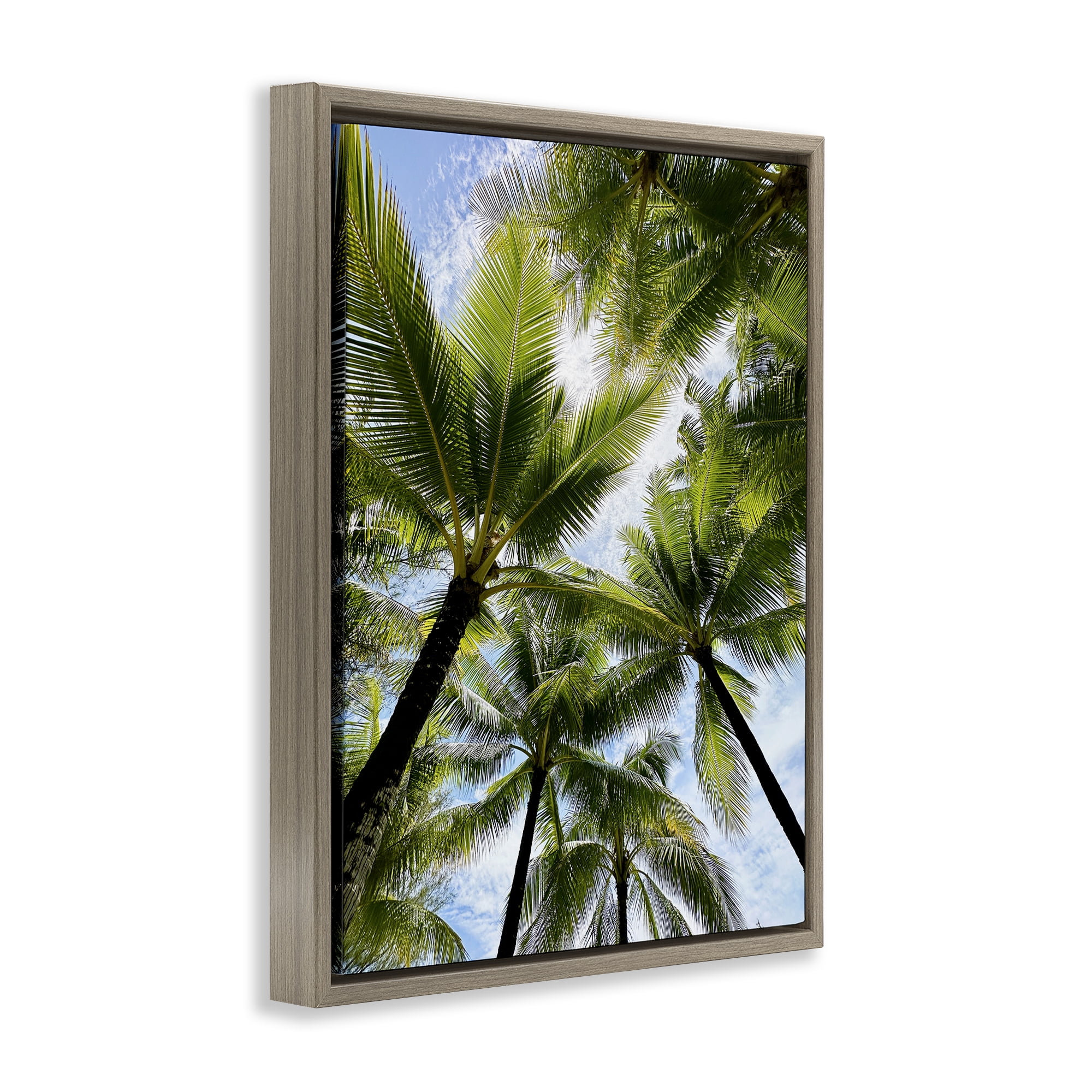 Stupell Industries Overhead Palm Trees Plants & Flowers Photography Brown Floater Framed Canvas Art Print Wall Art, 17 x 21