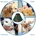 thumbnail image 4 of Cute Sloths Soft Cats Dogs Recovery Collar Adjustable Cats Cone Wound Healing Protective After Surgery for Pet Cones, 4 of 7