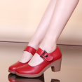 thumbnail image 2 of Zapatos de baile modernos Four Seasons, zapatos de baile cuadrados con velcro, zapatos de baile para mujer, zapatos de baile de suela blanda y tacón medio, 2 of 6