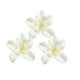 thumbnail image 4 of Cabeza de flor artificial Sunnimix 20 piezas peonía decoración de banquete de boda, 4 of 7