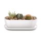 thumbnail image 1 of E-liu Macetero de cerámica ovalado con platillos con orificio de drenaje Macetero para suculentas de 11 pulgadas Decoración del hogar para plantas de interior y exterior Cactus de hierbas con 3 almoha, 1 of 8