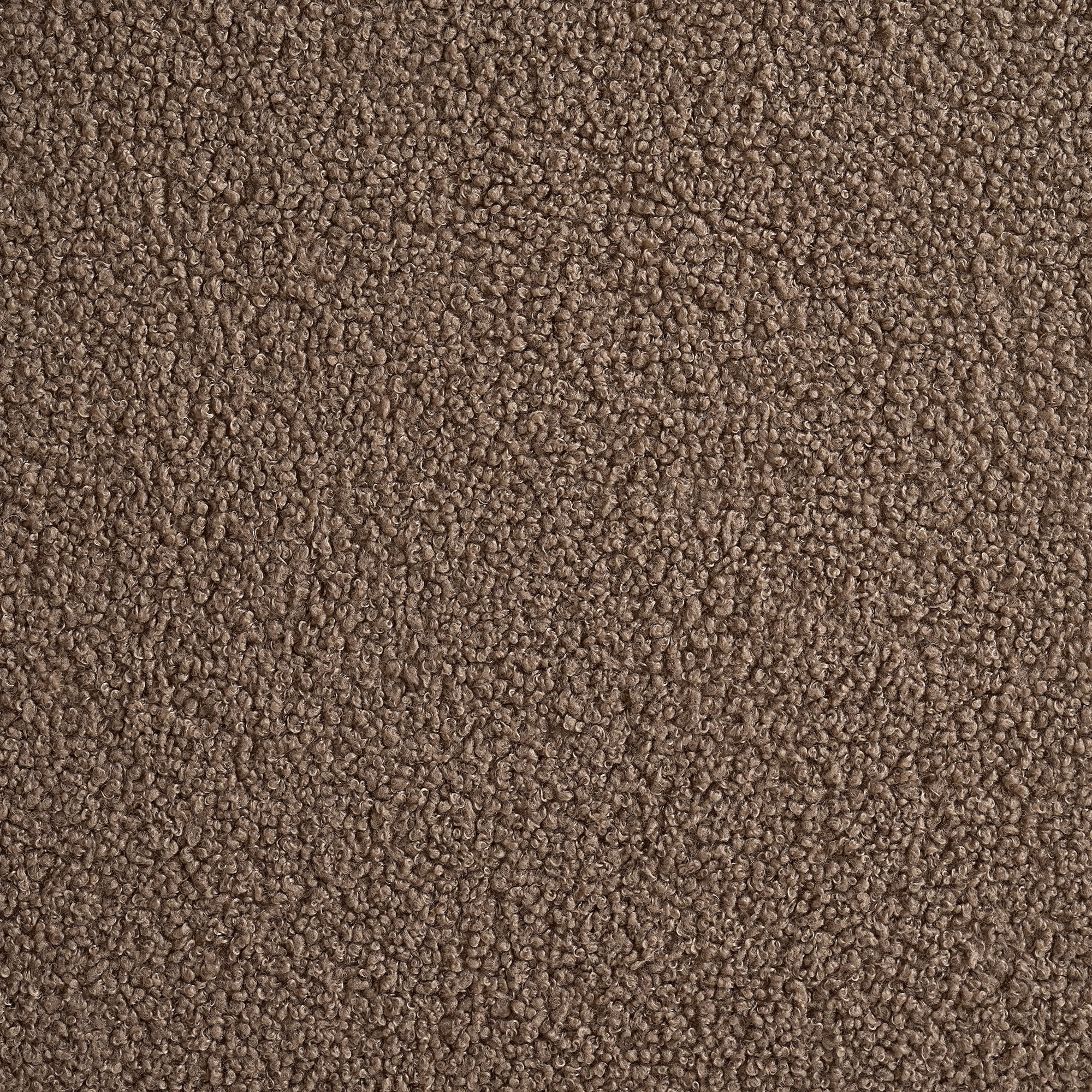 Boucle Teddy Brown