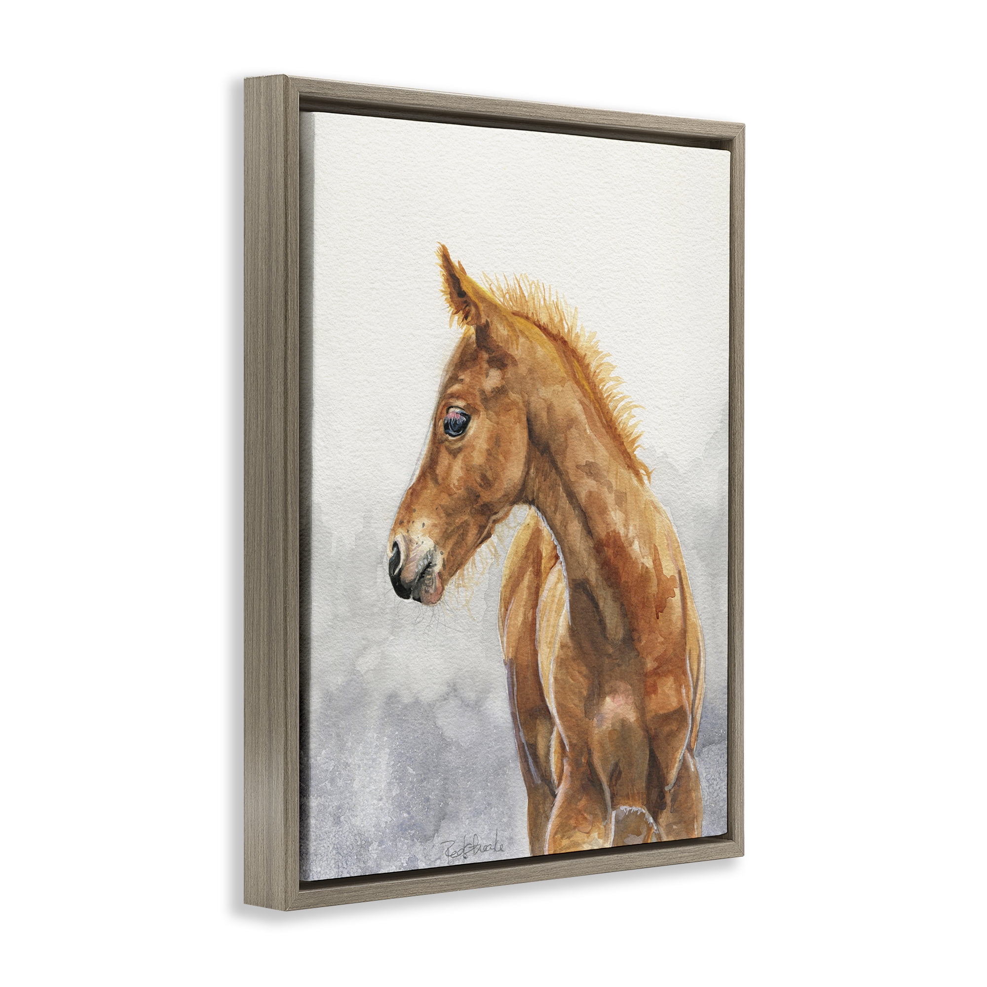 Stupell Industries Watercolor Brown Foal Animals Painting Brown Floater Framed Canvas Art Print Wall Art, 17 x 21
