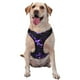 thumbnail image 1 of Fotbe Galaxy Lightning Arnés para Perro con Estampado –Chaleco Ajustable Acolchado con Asa de Control para Perros Grandes-X-Large, 1 of 6