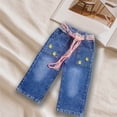 thumbnail image 6 of Cowsor Big Kids Girls Pineapple Print Wide Leg Jeans With Big Pockets Elastic Waist Casual Spring Summer Outdoor Bottoms For 2-8 Years Old, 6 of 6