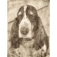 thumbnail image 2 of Segal, Alan 15x18 Black Ornate Wood Framed with Double Matting Museum Art Print Titled - Dexter, 2 of 4