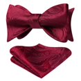 thumbnail image 1 of HISDERN Nœuds Papillon Rouges pour Hommes Floral Paisley Auto-Classique Formel Smoking Satin Soie Tissée Nœuds Papillons pour Mariage Fête Bal Boîte Cadeau, 1 of 4