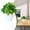Green, variant on Artificial Jasmine Potted Plant for Home Tabletop and Office Desk, Fake Bonsai for Bathroom Shelf and Living Room, Lifelike Green Plant for Farmhouse Decor, White Pot