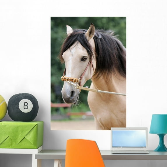 Pferd Longe Wall Mural by Wallmonkeys Peel and Stick Graphic (36 in H x 24 in W) WM79950