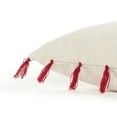 thumbnail image 2 of Rizzy Home 18" x 18" Poly Filled Pillow, 2 of 5
