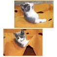 thumbnail image 3 of Alfombrillas para gatos Alfombrillas para adiestramiento de gatos Alfombrilla para adiestramiento de mascotas en interiores Gato, 3 of 8