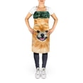 thumbnail image 2 of Carolines Treasures SS8725APRON Pomeranian Apron Large multicolor, 2 of 4