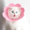 thumbnail image 4 of Collier de Protection Design Floral Anti-Lichage Eva pour Chat Intérieur, 4 of 5