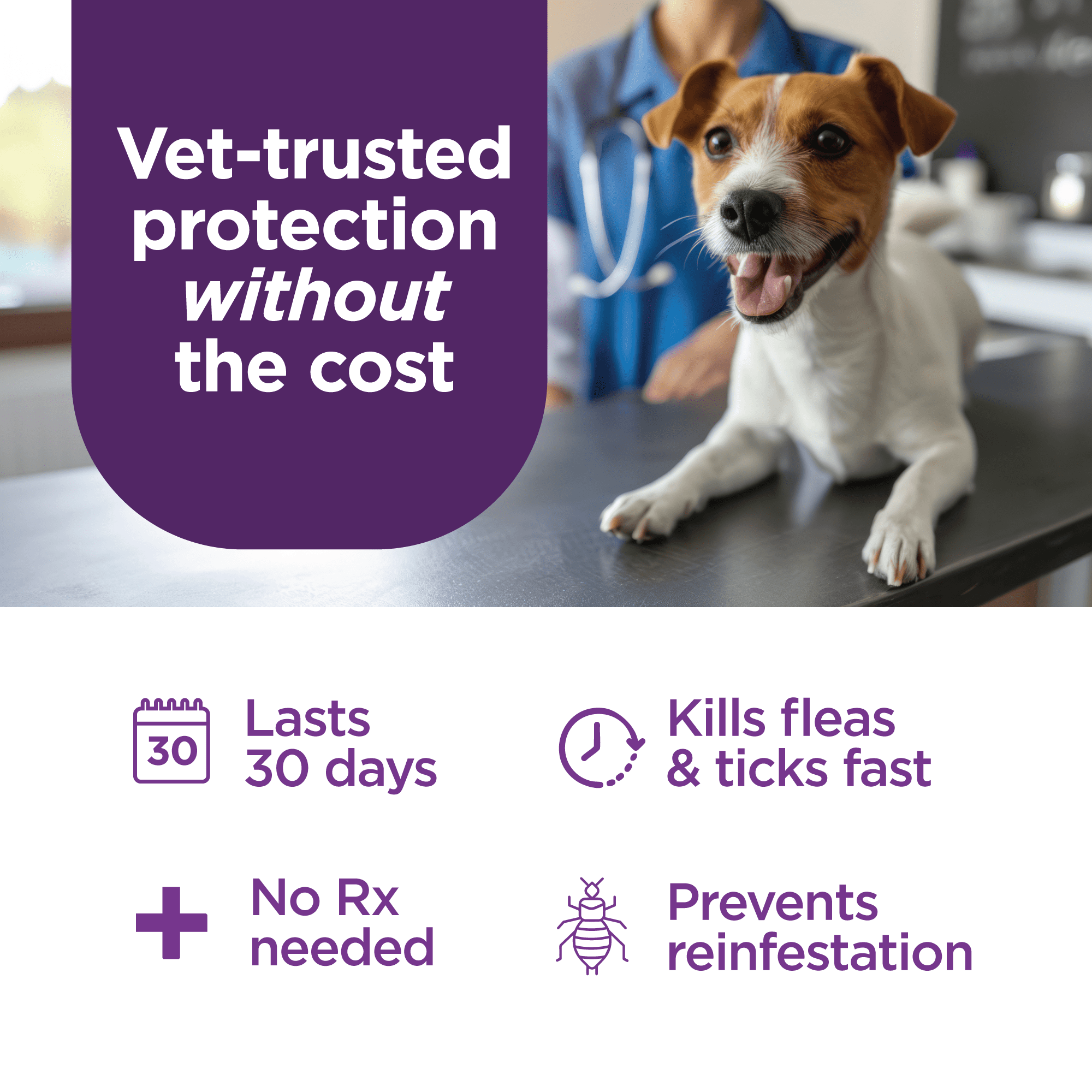 TevraPet FirstAct Plus Flea and Tick Prevention for Large Dogs 45-88 lbs, 6 Monthly Doses, Topical Drops
