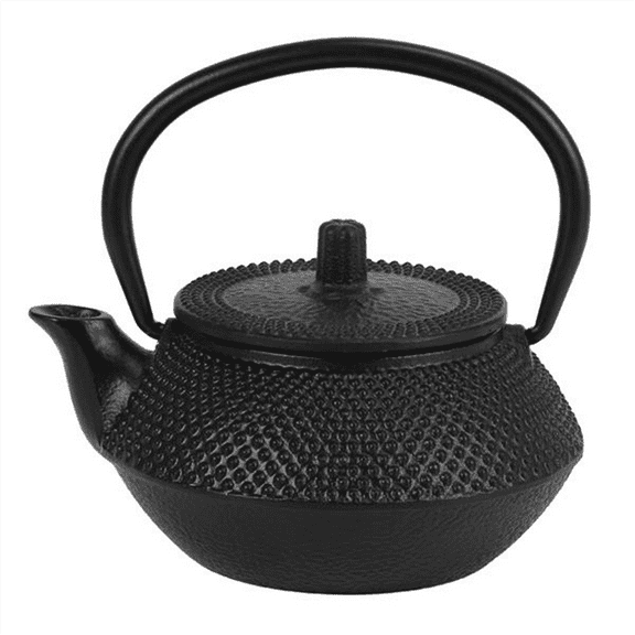 Iron Tea Pot with Stainless Steel Infuser Cast Japanese Teapot Oolong Puer Kettle 300ML