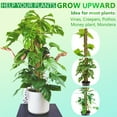 thumbnail image 3 of LANNEY 68 Inch Moss Pole for Climbing Plants, 6 Pack 15.6 Inch Coir Totem Pole Plant Support with 65 Feet Garden Twist Tie for Indoor Moss Sticks Monstera to Grow Upwards, 3 of 7