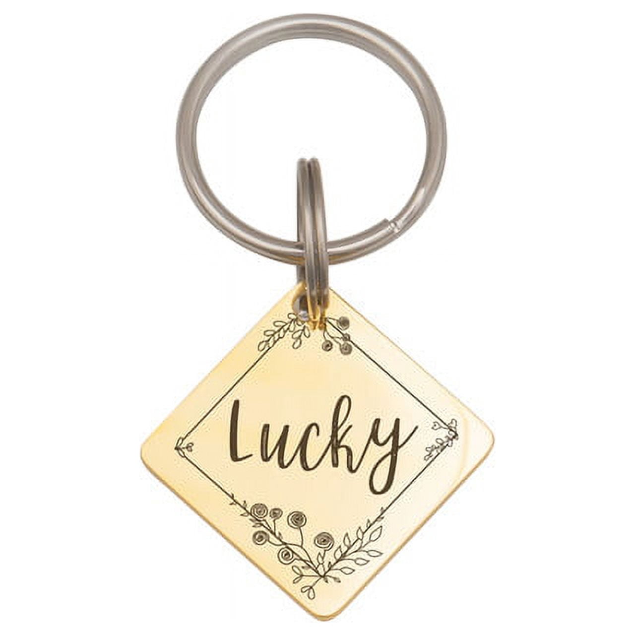 Anavia Stainless Steel Double Sided Diamond Name and Frame Engraved Dog & Cat ID Tag, Multi-color, L