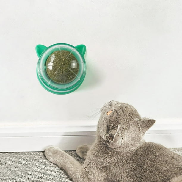 Juguete para gatos con pelota de hierba gatera, juguetes redondos para mascotas, ejercicio, lamer, bocadillo, molido francés estilo H