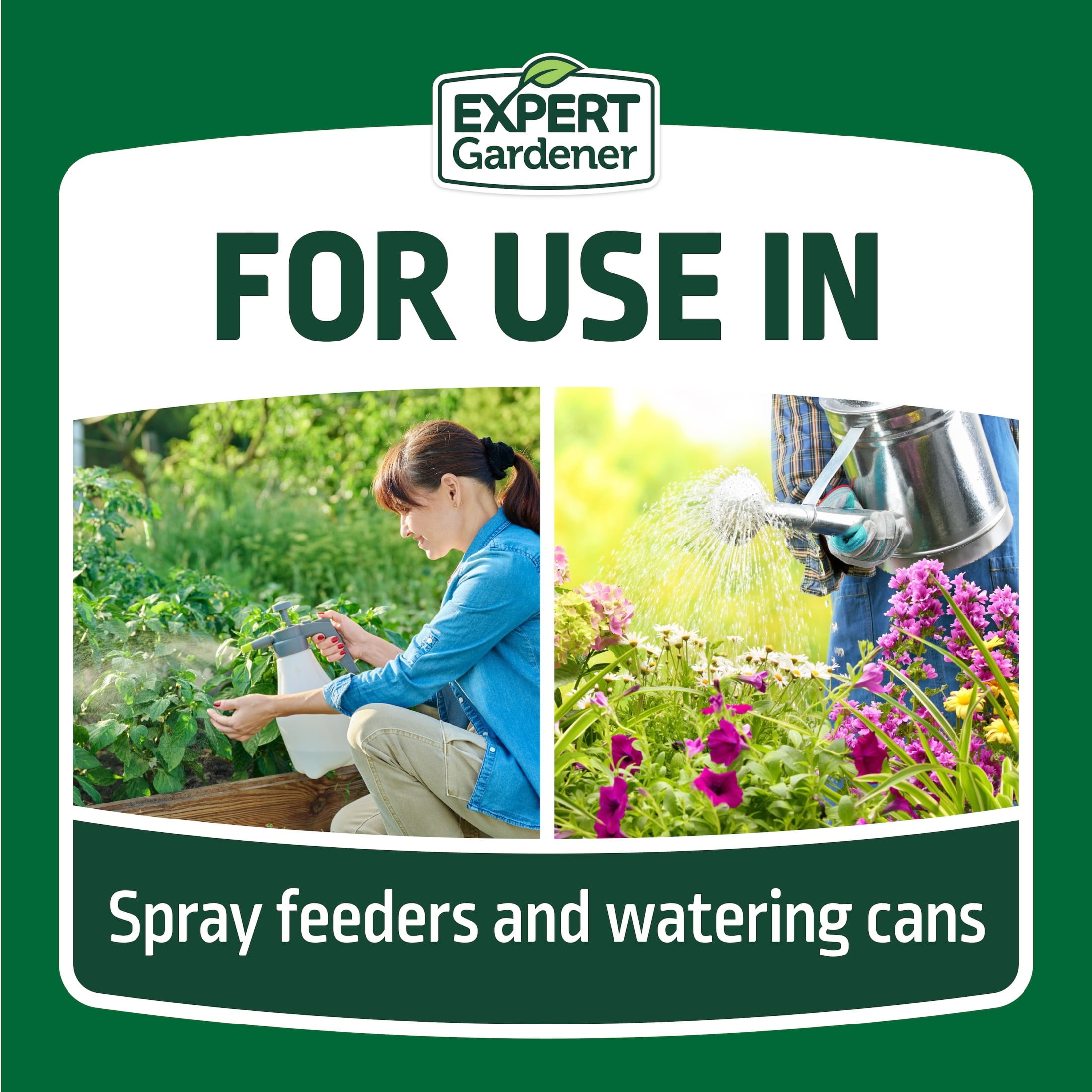 Expert Gardener All-Purpose Water Soluble Plant Food, 24-8-16 5 Pounds