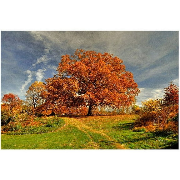 Trademark Fine Art "Fall Scene" Canvas Art by Lois Bryan