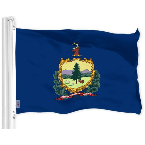 G128 Vermont VT State Flag | 3x5 Ft | LiteWeave Pro Series Printed 300D Polyester | Indoor/Outdoor, Vibrant Colors, Brass Grommets, Thicker and More Durable Than 100D 75D Polyester