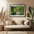 thumbnail image 3 of Trail in Acadia National Park - Maine Photography Forest Nature Woodland Scenic Wilderness Landscape Black Framed Wall Art Print 20 x 30 inches, 3 of 4