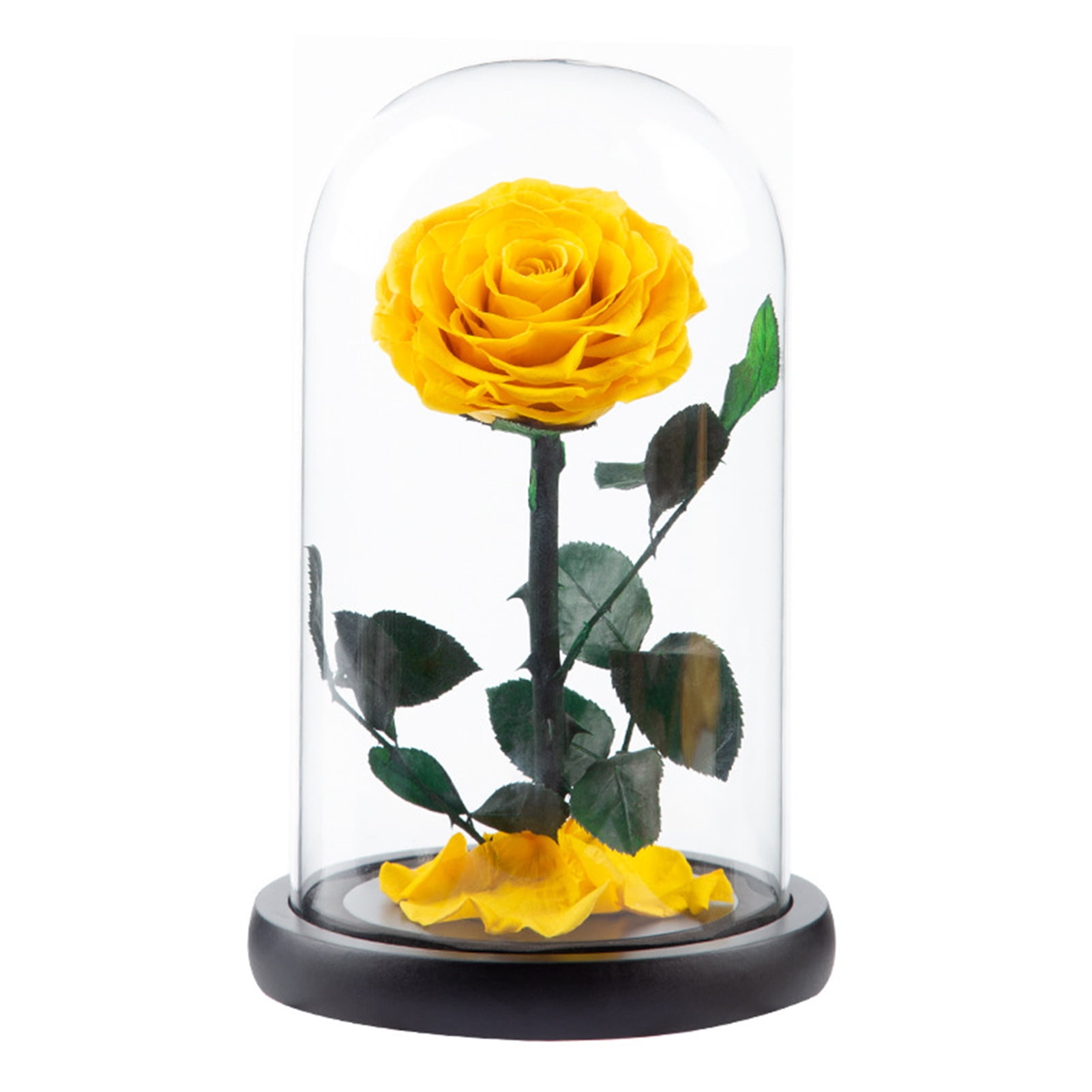 Fairnull Eternal Rose in Glass Dome Romantic Aesthetic Artificial Eternal  Rose Flower in Glass Dome Gift Mother's Day Supplies