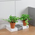thumbnail image 4 of Gwong Decoración hogareña Apariencia vívida en maceta artificial Fina Obras de trabajo Decoración de la casa Escritorio de oficina Decoración al aire libre Artificial Monstera Hoja para el hogar Gwong 21075122, 4 of 6