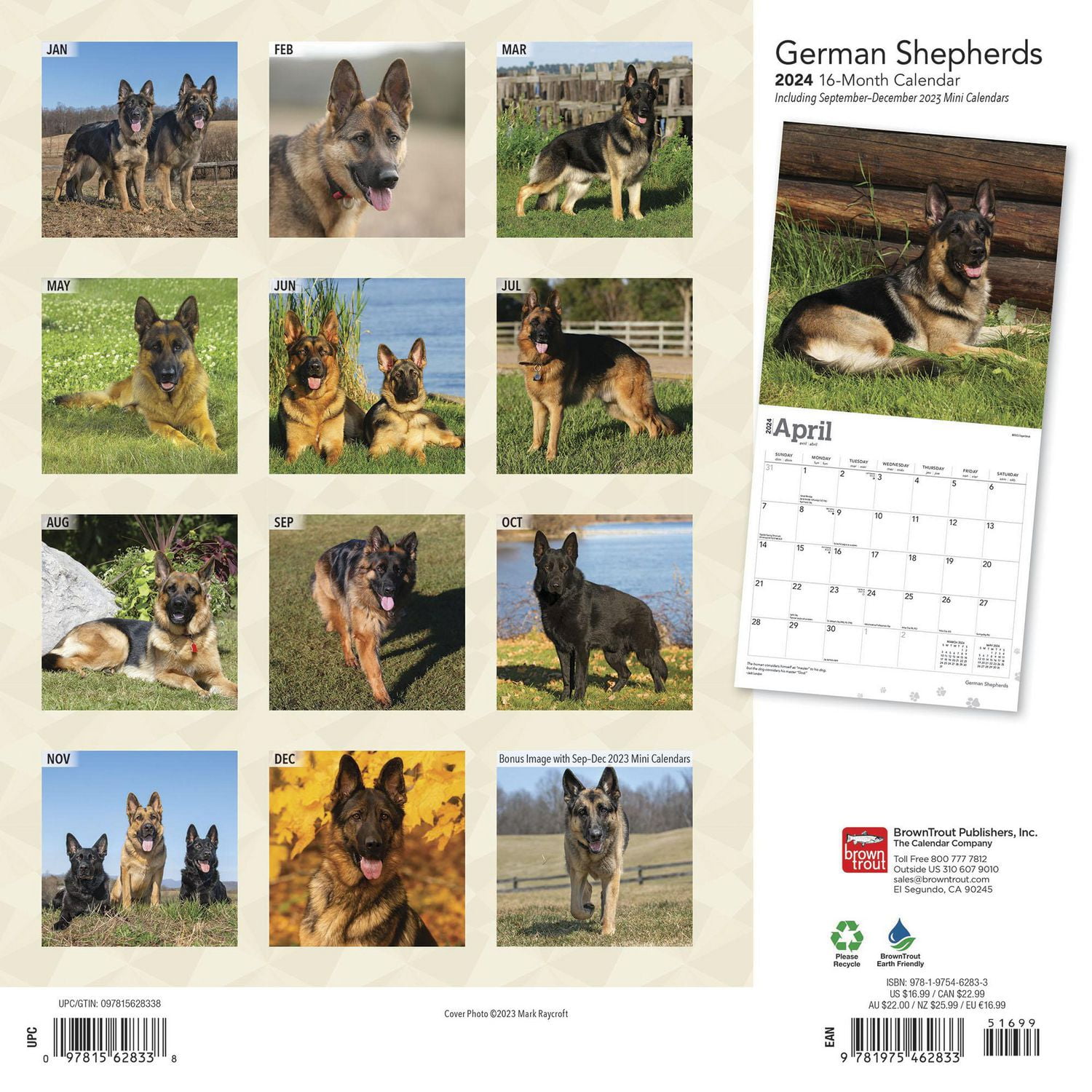 BrownTrout German Shepherds 2024 12x24 Inch Square Wall Calendar, 9781975462833
