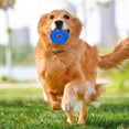 thumbnail image 3 of Squeaky Spiky Ring For Chewers Puppy Teething Ring Interactive Training Outdoor Indoor, 3 of 4