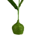 thumbnail image 4 of Northlight 19" Daisy Flower Artificial Spring Floral Table Top Decoration - Green/Yellow, 4 of 4