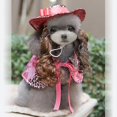 thumbnail image 1 of Halloween Navidad Regalos de Navidad Suministro de decoración Venta caliente Suministros para mascotas Ropa de Navidad para mascotas, 1 of 5