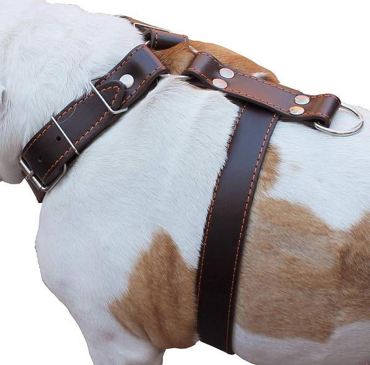 Brown Genuine Leather Dog Harness Large. 30"-35" Chest, 1.5" Wide Straps Pitbull, Boxer, Rottweiler