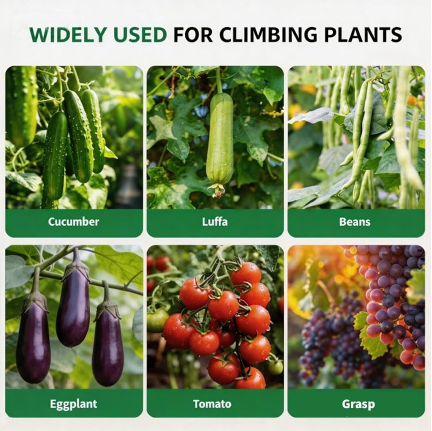 Garden Arch Trellis for Raised Beds, 6.8'x3'x2.6' Plant Support for Cucumbers Melons Grapes Roses & Climbing Veggies, Rust-Resistant Outdoor Trellis for Vertical Growing, Black